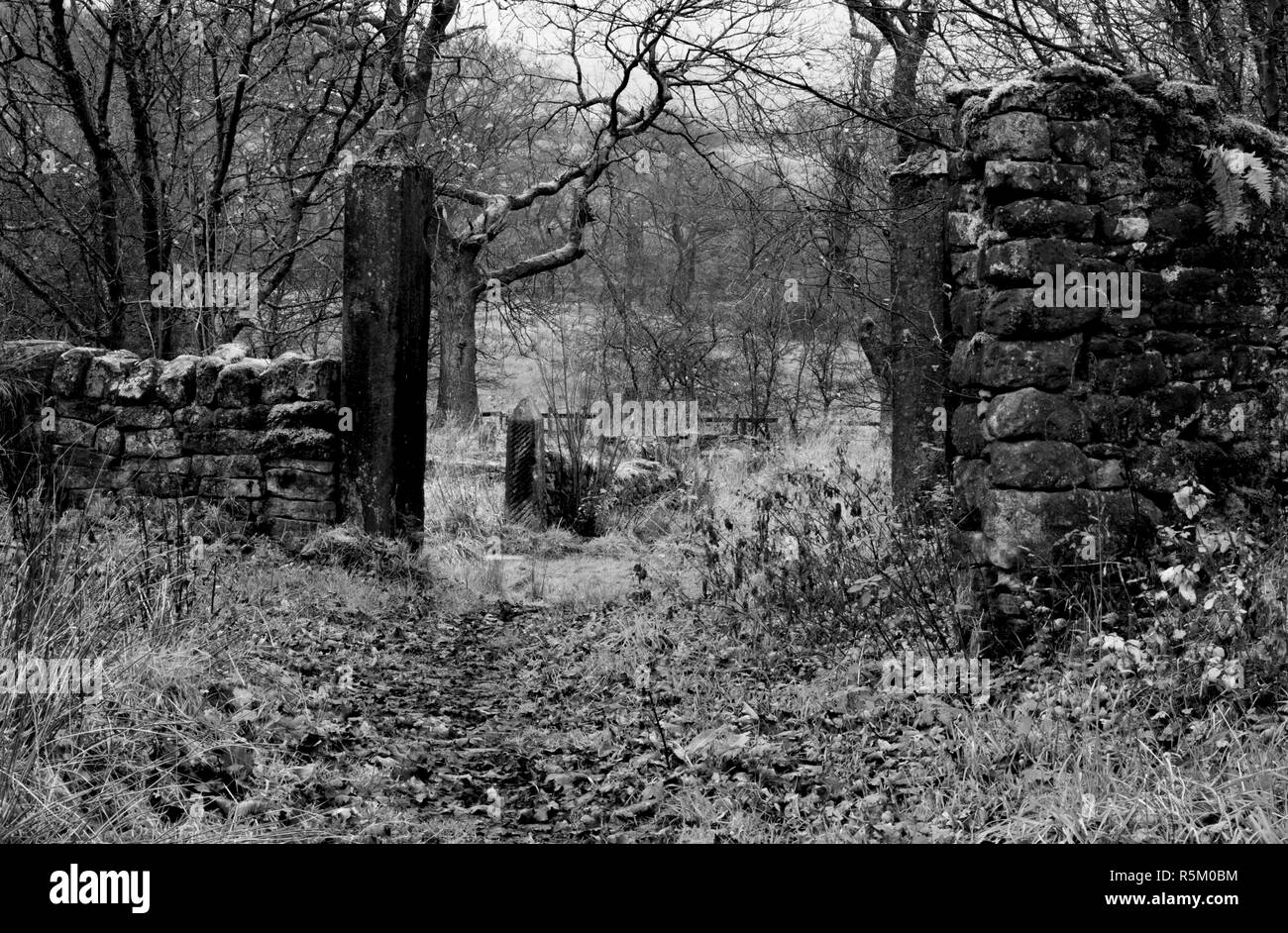 Ruines gothique sombre et décor d'Hollinshead Hall, près de Kaesfurt Darwen, Lancashire en noir et blanc avec gateposts. Banque D'Images