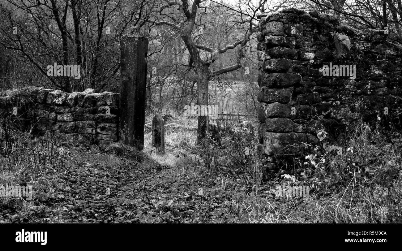 Ruines gothique sombre et décor d'Hollinshead Hall, près de Kaesfurt Darwen, Lancashire en noir et blanc avec gateposts. Banque D'Images