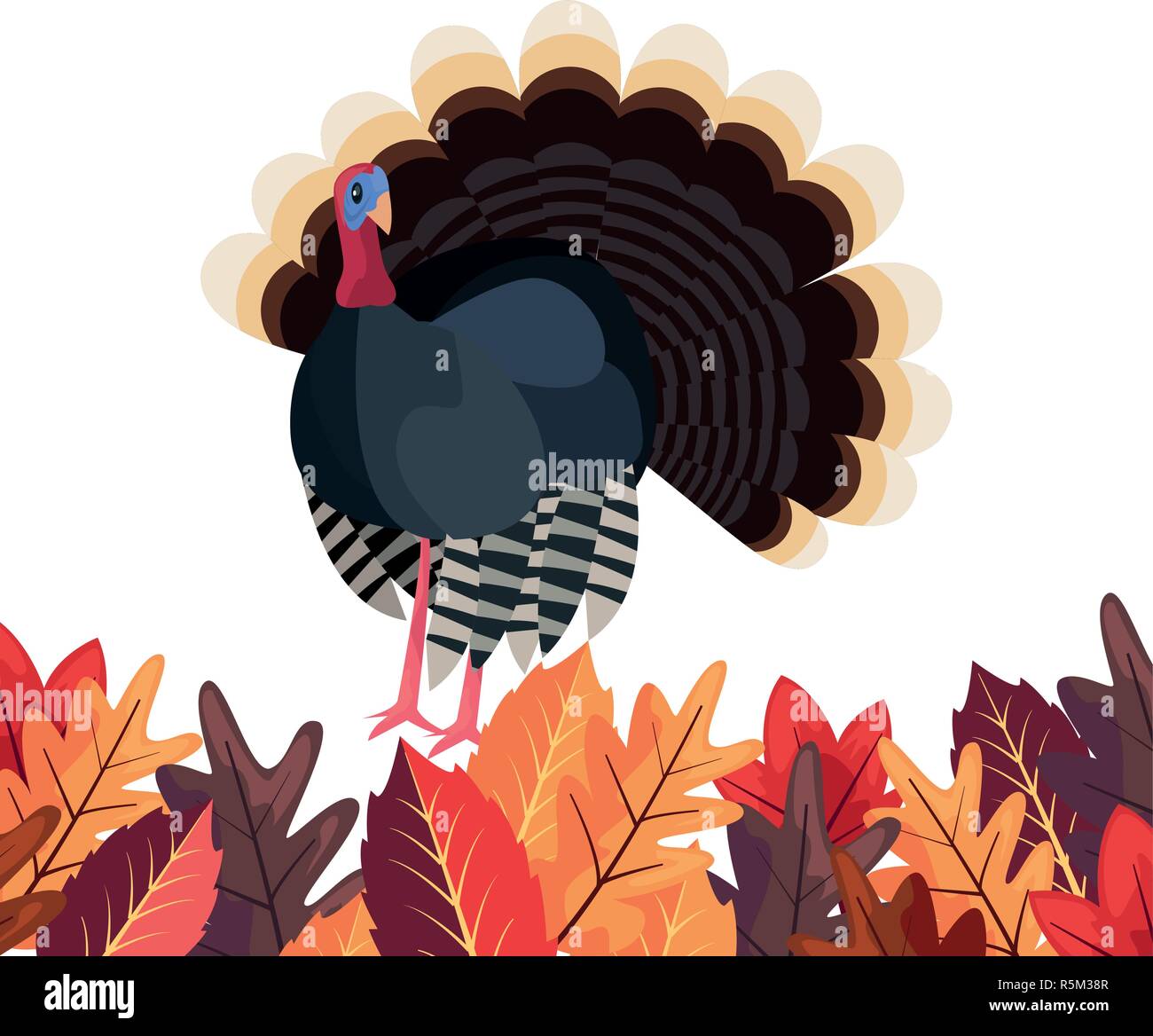 Feuillage laeves citrouille white background vector illustration vector illustration Illustration de Vecteur