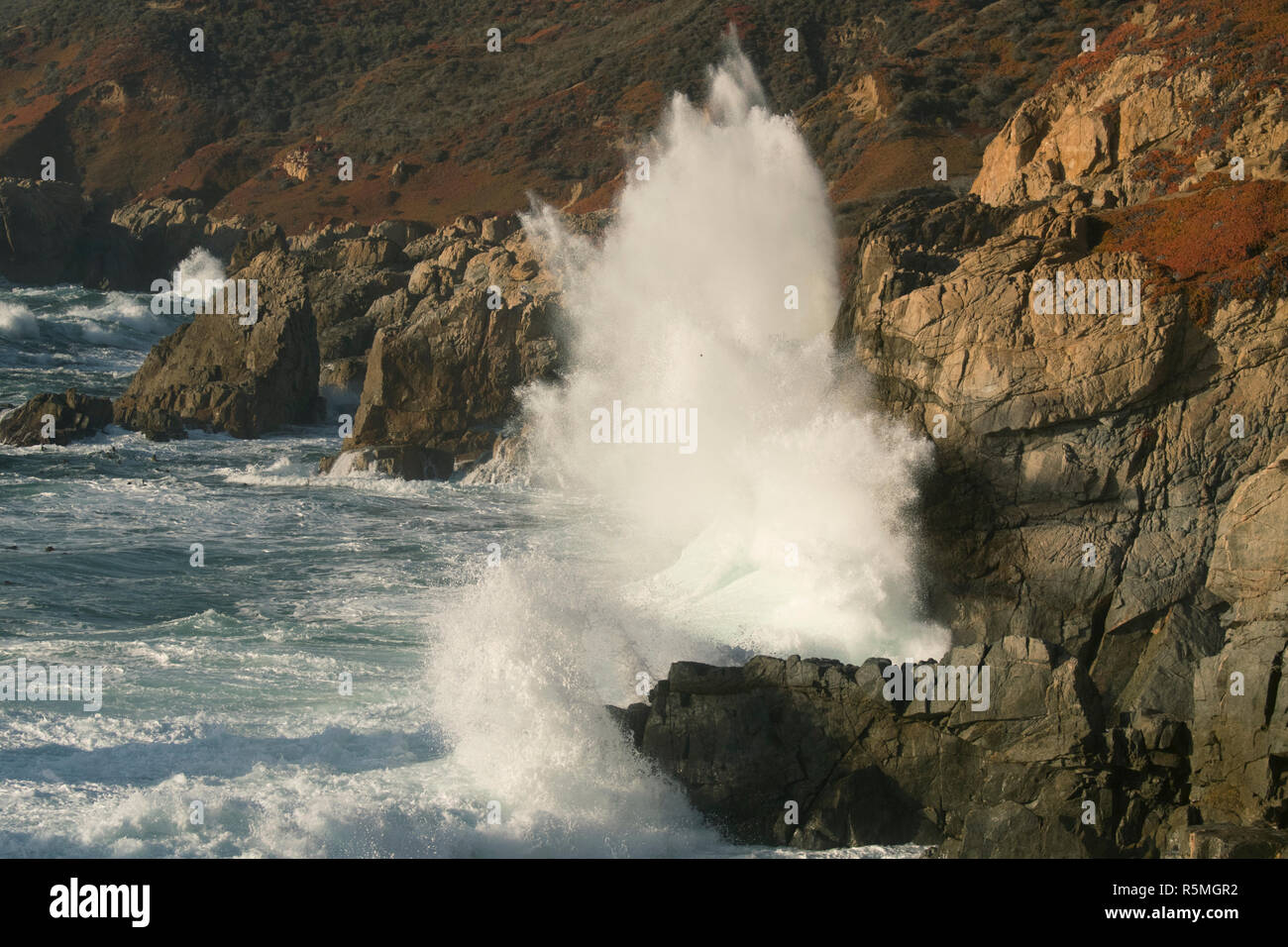 Vagues sur une côte de Big Sur, Garrapata State Park, Californie Banque D'Images