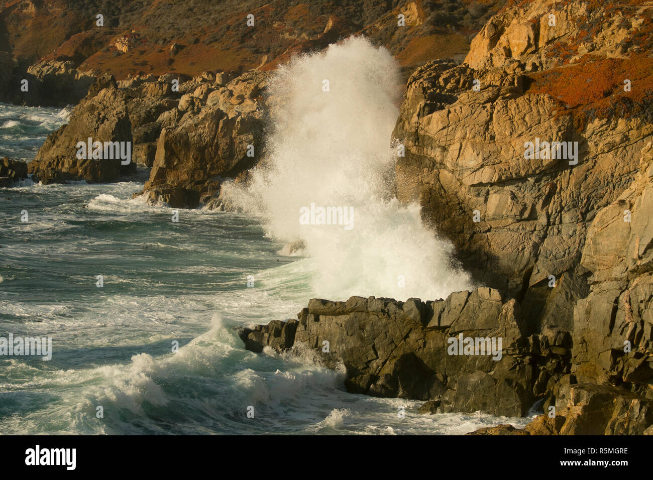 Vagues sur une côte de Big Sur, Garrapata State Park, Californie Banque D'Images