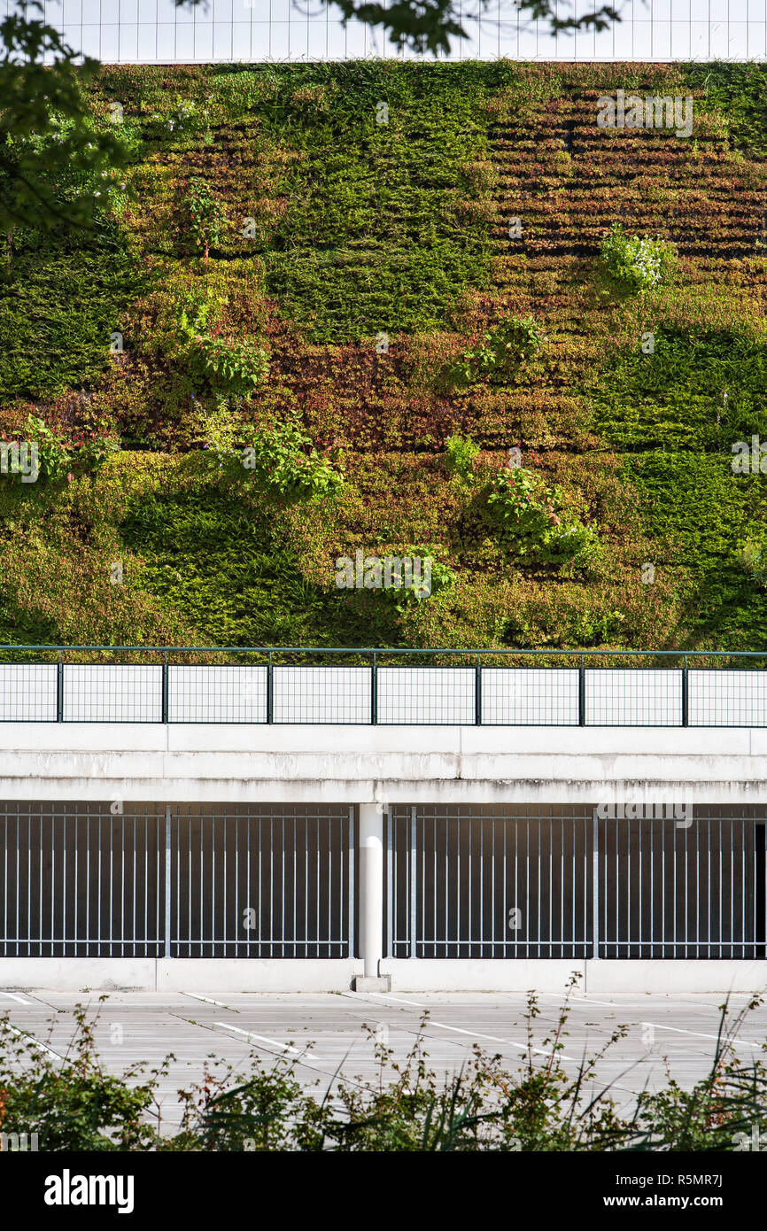 Mur vert écologique Banque D'Images