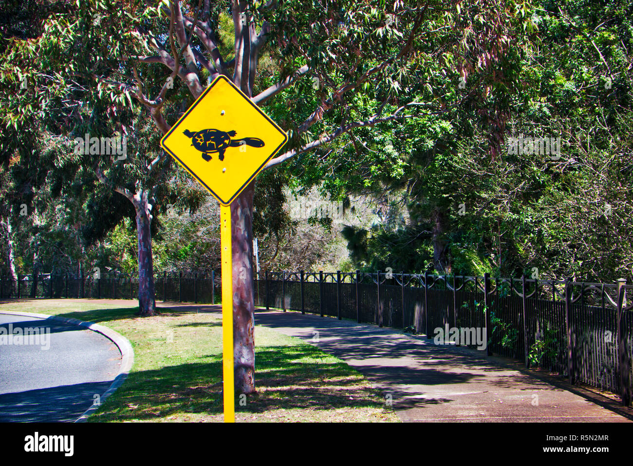 -Turtle crossing the road sign Banque D'Images