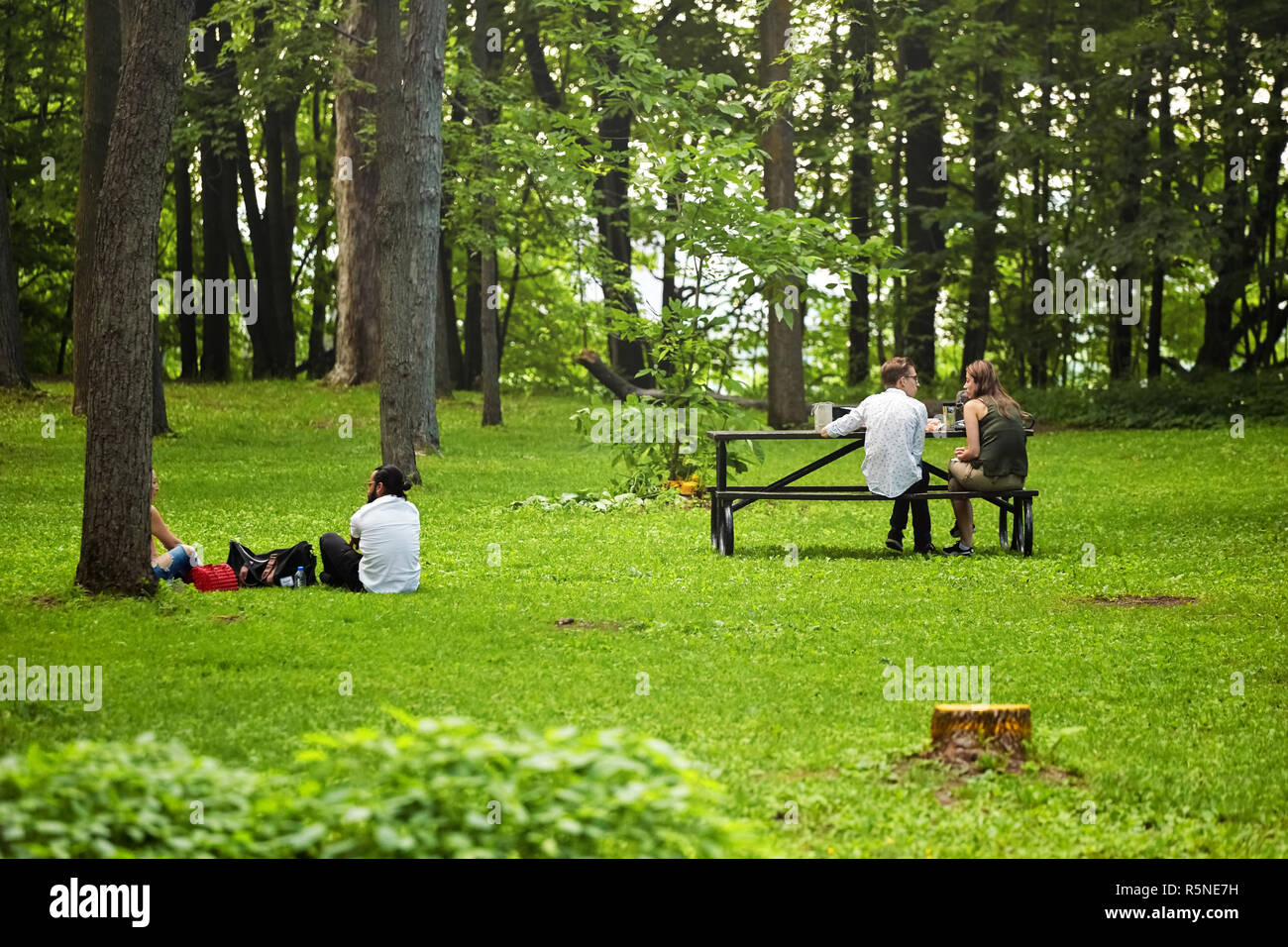 Deux jeunes couples assis sur l'herbe et clôture de la forêt et d'avoir une conversation dans le parc du Mont-Royal, Montréal, Canada. Banque D'Images