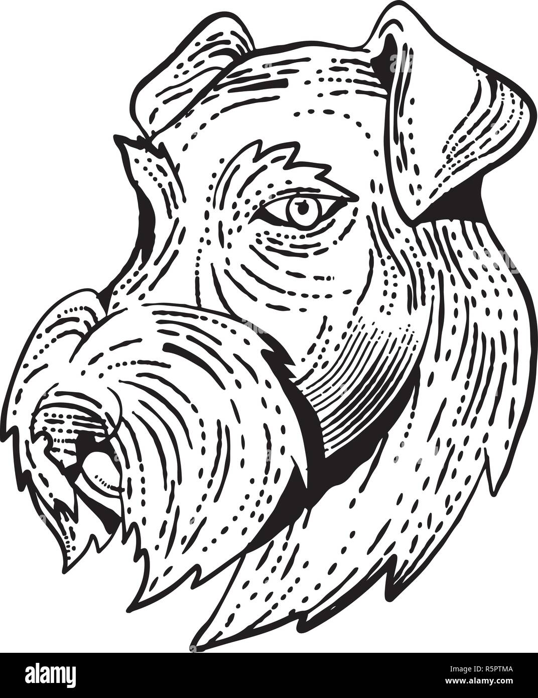 Style gravure illustration du chef de l'Airedale Terrier, Terrier ou Terrier au bord de Bingley, une race de chien de terrier le genre vu de côté fait sur Illustration de Vecteur