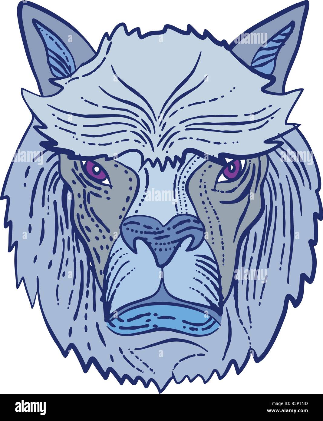 Style gravure illustration d'une tête d'Alpaga, une espèce de camélidés