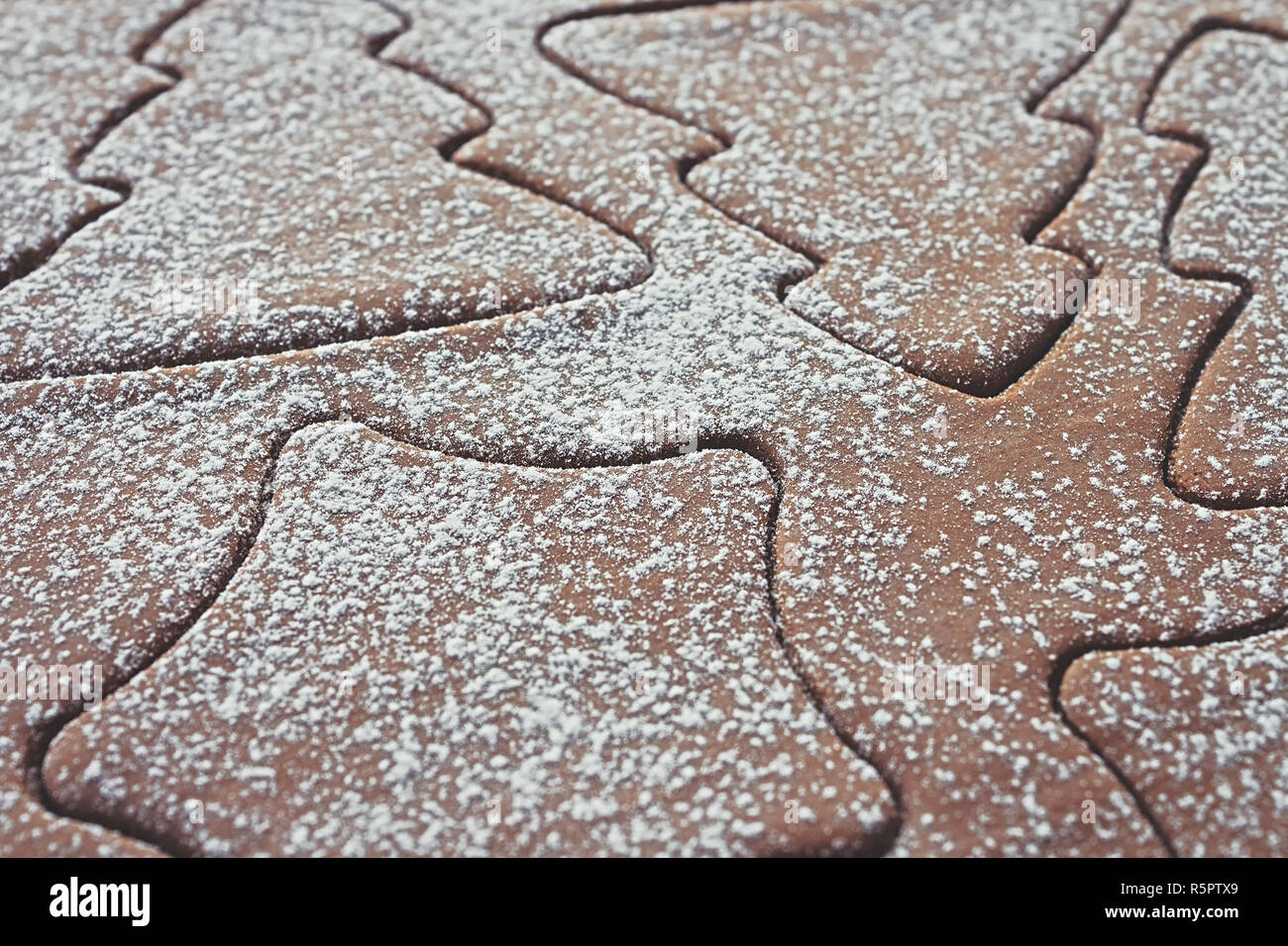 Pâte d'épices, mis en place avec différentes formes de Noël coupé en elle et saupoudré de sucre en poudre Banque D'Images