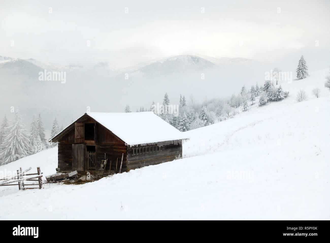 Belles montagnes en hiver. Pezazh rural. Les arbres couverts de neige. Bonne Année Banque D'Images