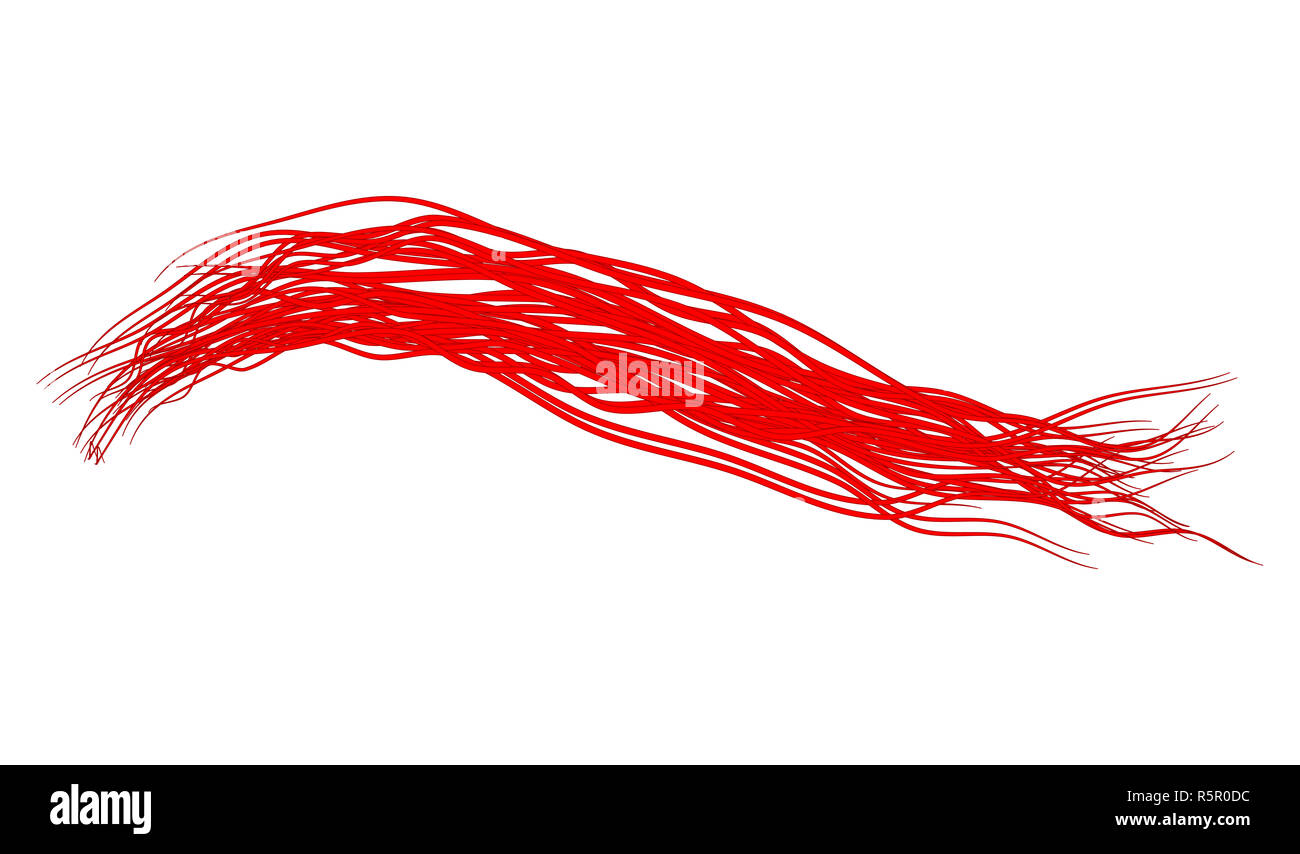 Veine rouge symbole vecteur icône concevoir. Belle illustration isolé sur fond blanc Banque D'Images