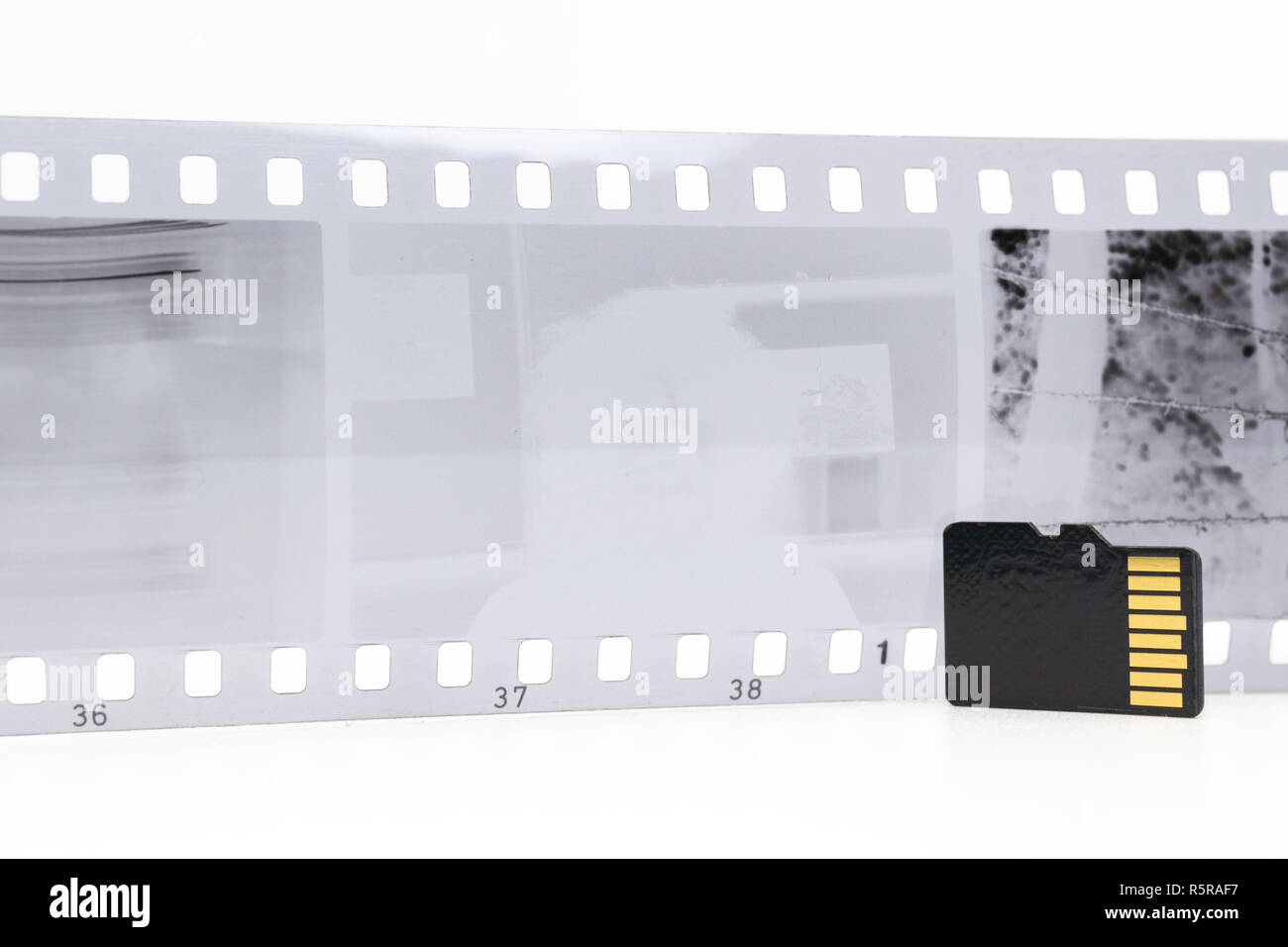 Le noir et blanc 35mm film et carte micro SD noir Banque D'Images