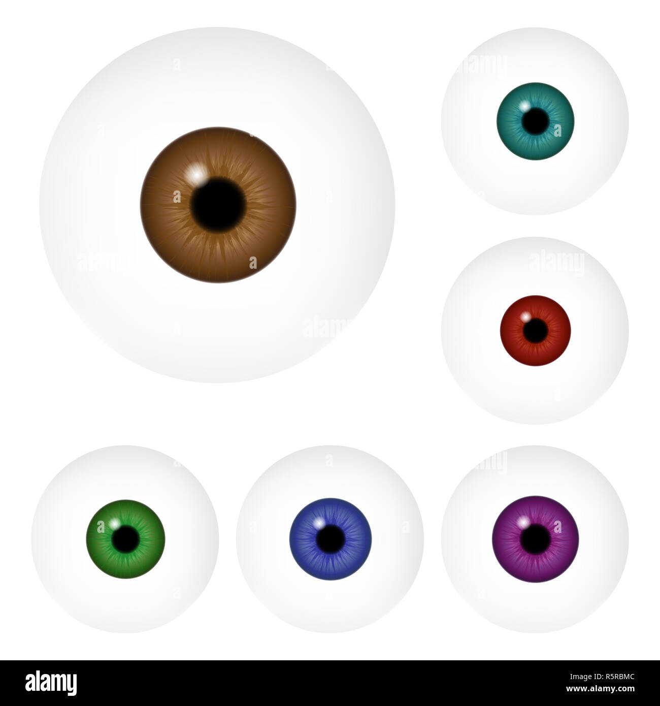 Image de l'œil humain réaliste ball avec des élève, iris. Vector illustration isolé sur fond blanc. Banque D'Images