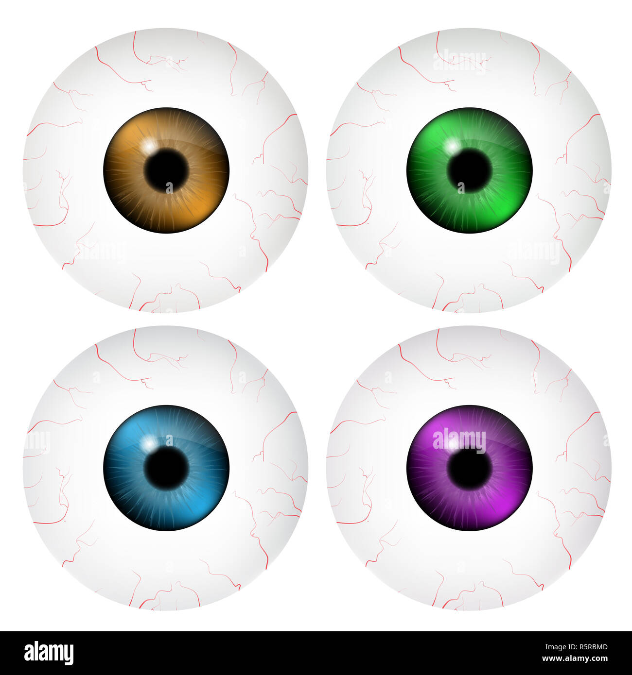 Image de l'œil humain réaliste ball avec des élève, iris. Vector illustration isolé sur fond blanc. Banque D'Images