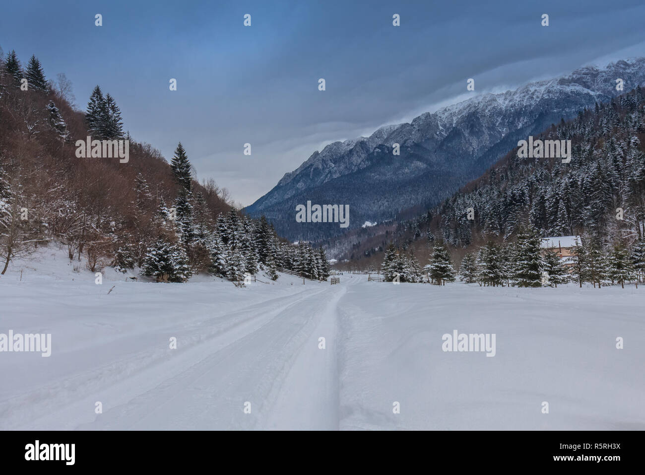 Route rustique en hiver Banque D'Images