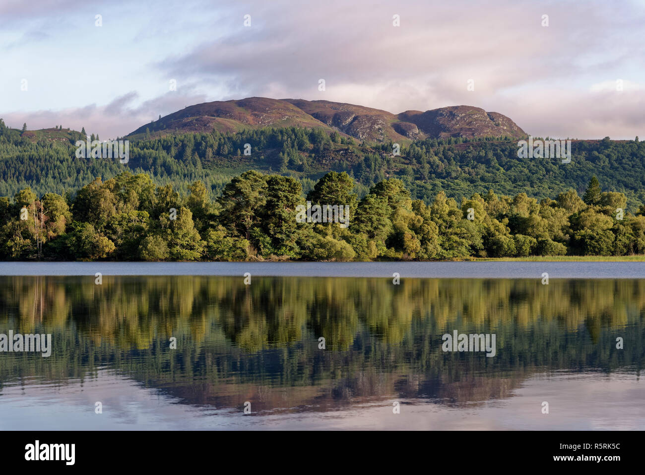 Reflet de Craig plus dans le loch de Lowes, Dunkeld, Perth et Kinross, Scotland, UK Banque D'Images