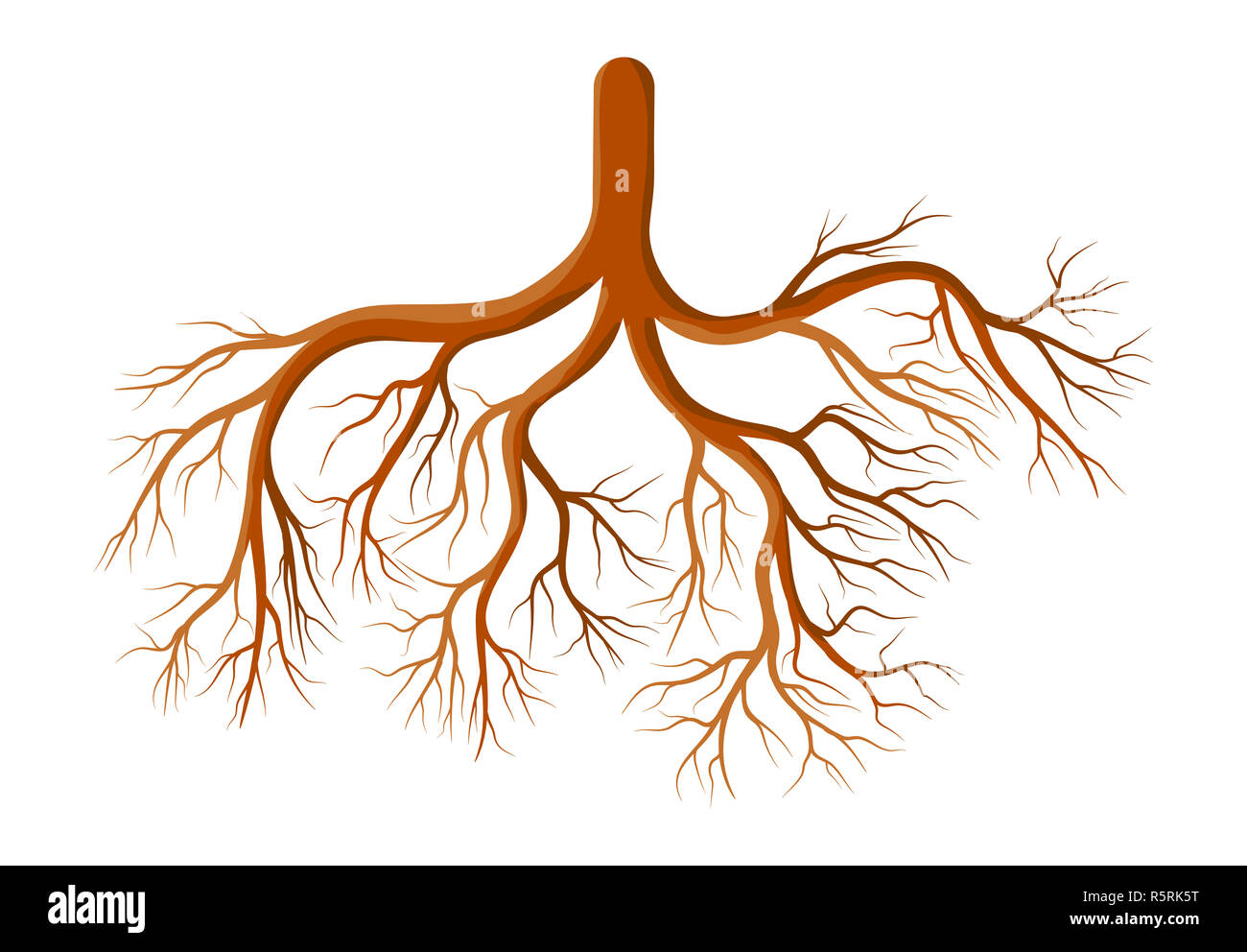 Plante racine cartoon vector icône Symbole du design. Belle ...