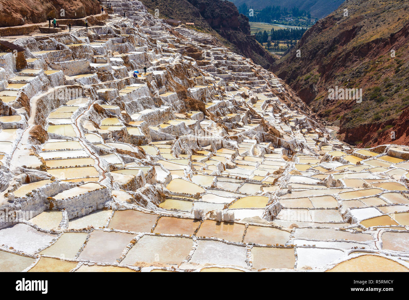 Terrasses de sel appelé "alineras de Maras' dans la région de Cusco, Pérou Banque D'Images