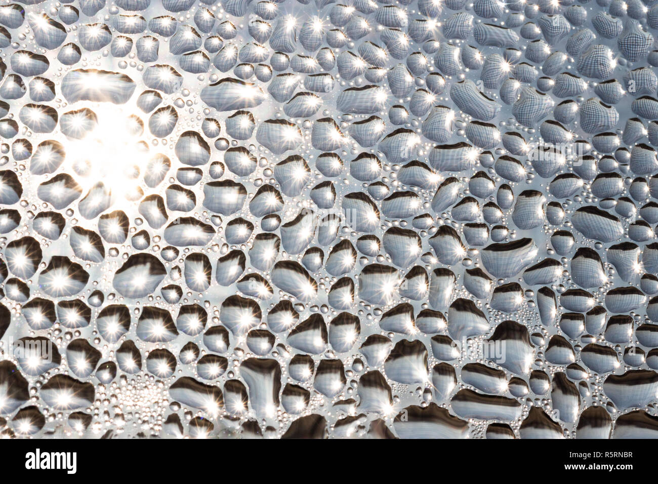 La condensation de l'eau gouttes sur la fenêtre en verre rétro-éclairé surface par sun, moustiquaire reflétée à l'aide de gouttes Banque D'Images