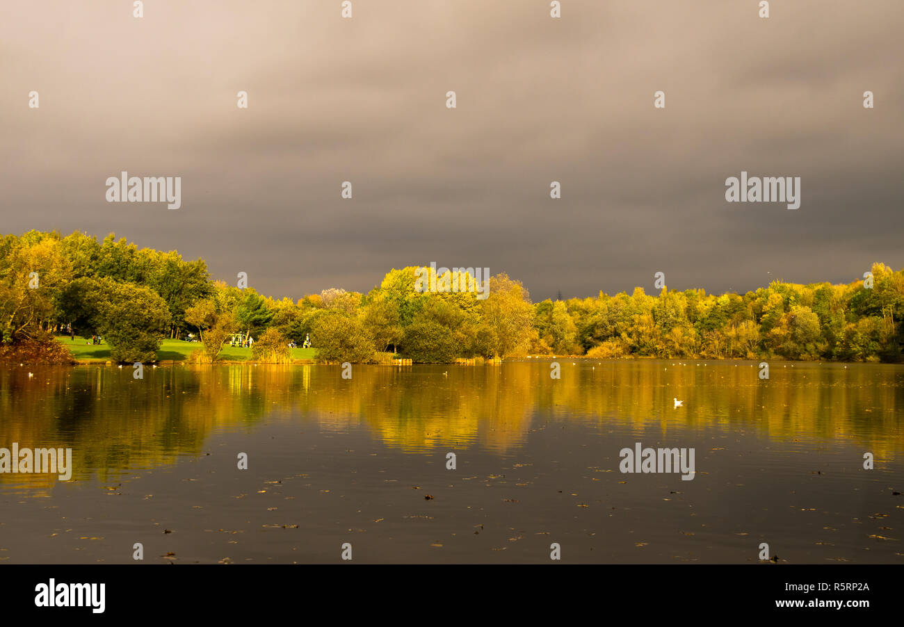 Beau paysage avec des arbres autmn reflets du lac dans un parc / belles couleurs d'automne / Couleurs saison / image Paysage au Pays de Galles Banque D'Images