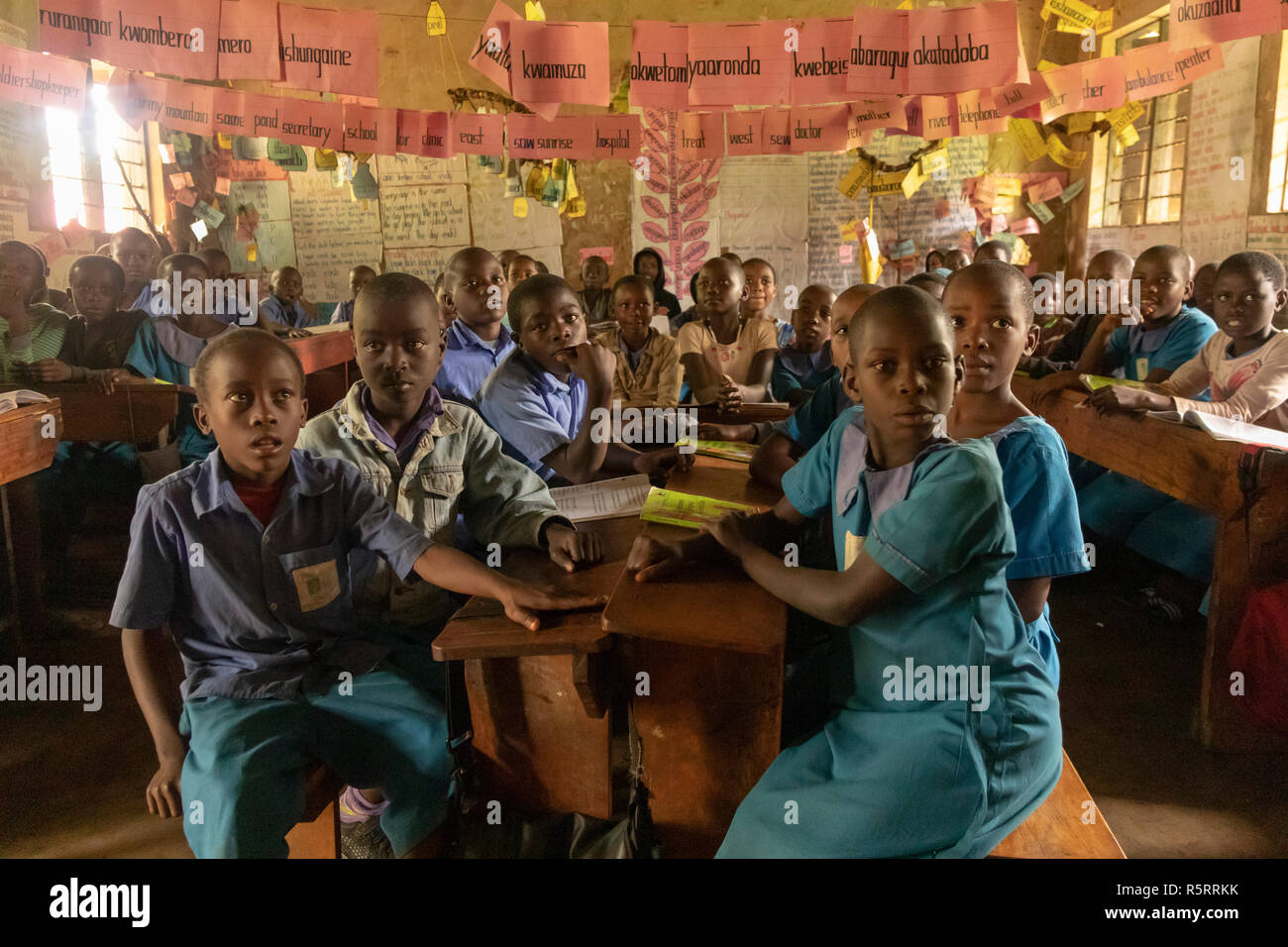 Les écoliers de l'école primaire, l'ouest de l'Ouganda, Bigodi, Afrique Banque D'Images