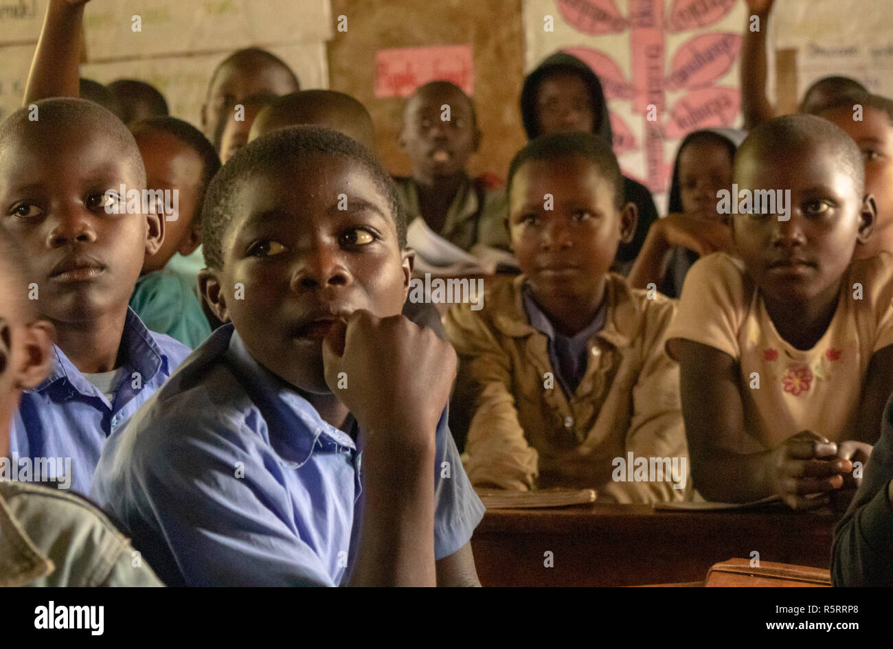 Les écoliers de l'école primaire, l'ouest de l'Ouganda, Bigodi, Afrique Banque D'Images