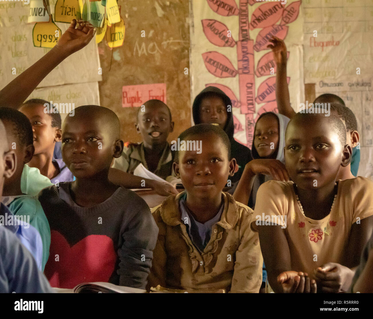 Les écoliers de l'école primaire, l'ouest de l'Ouganda, Bigodi, Afrique Banque D'Images