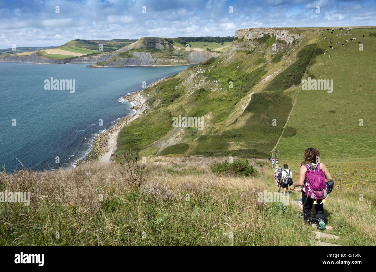 Vue sur colline Emmetts et Chapman's Pool sur la côte jurassique, à l'île de Purbeck, Dorset, England, UK Banque D'Images