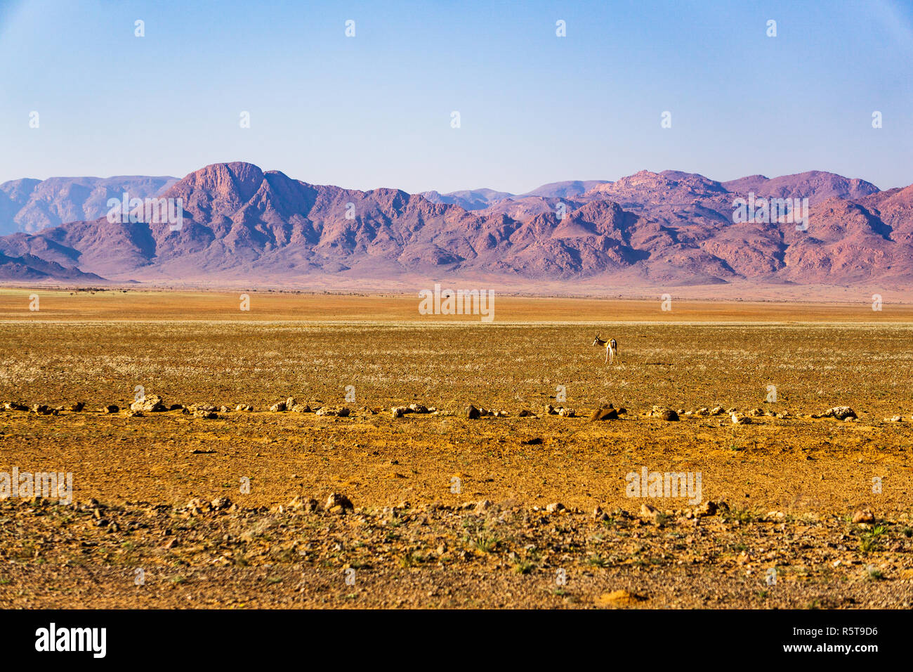 La Namibie paysage désert désert d707 Banque D'Images