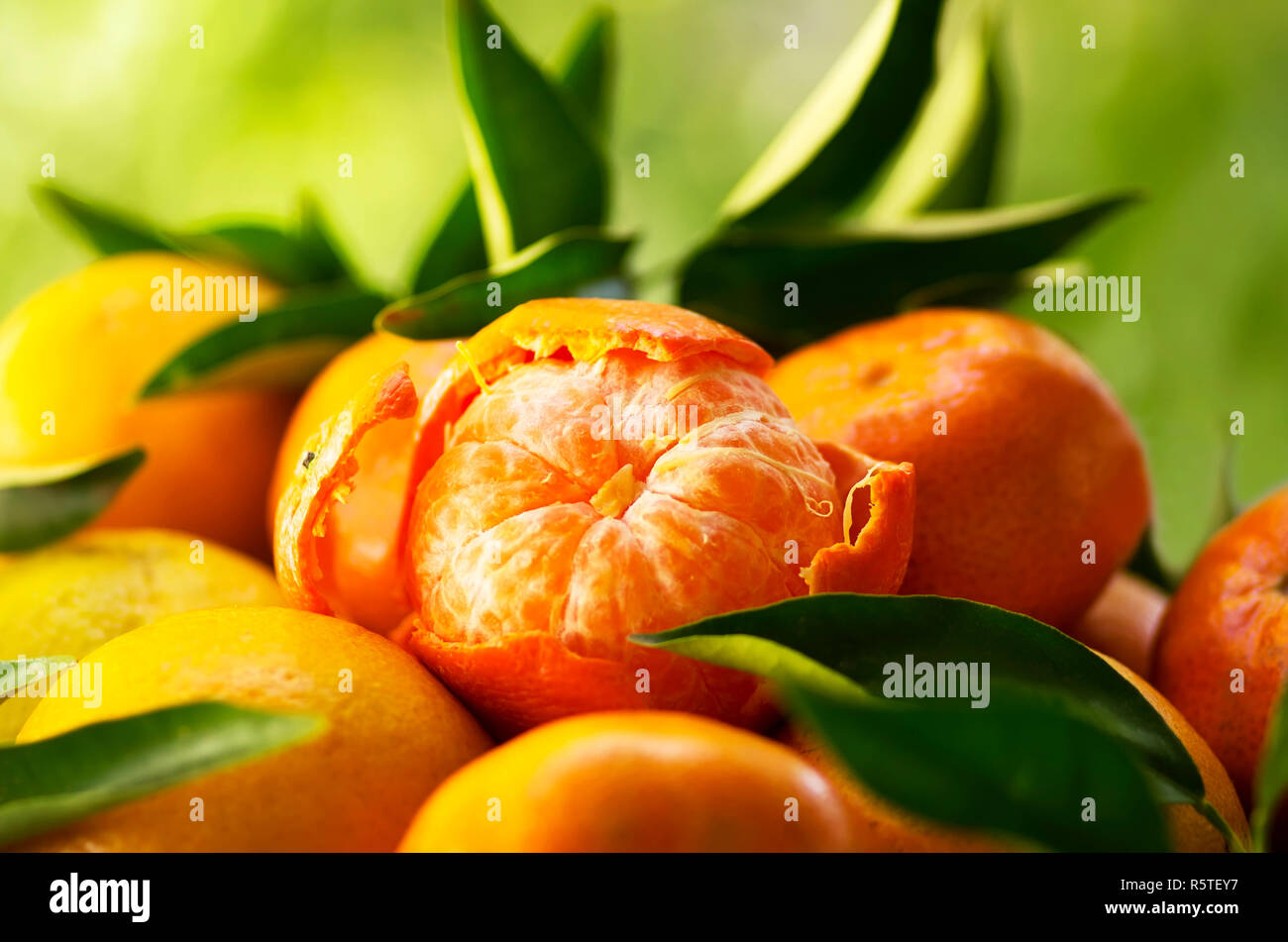 Mandarines, peeled tangerine sur fond vert. Banque D'Images
