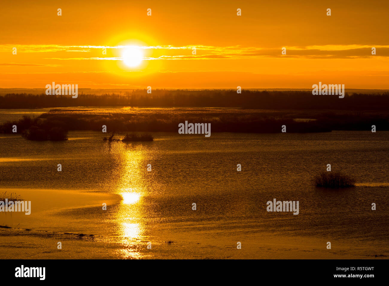 Belle, Golden, plein de lumière, au début du printemps de la Biebrza lever du soleil sur les zones humides. La Pologne, parc national de Biebrza. Banque D'Images