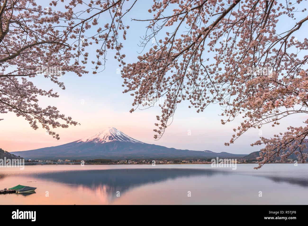Le lac Kawaguchi, le Japon à Mt. Fuji dans la soirée au cours du printemps. Banque D'Images