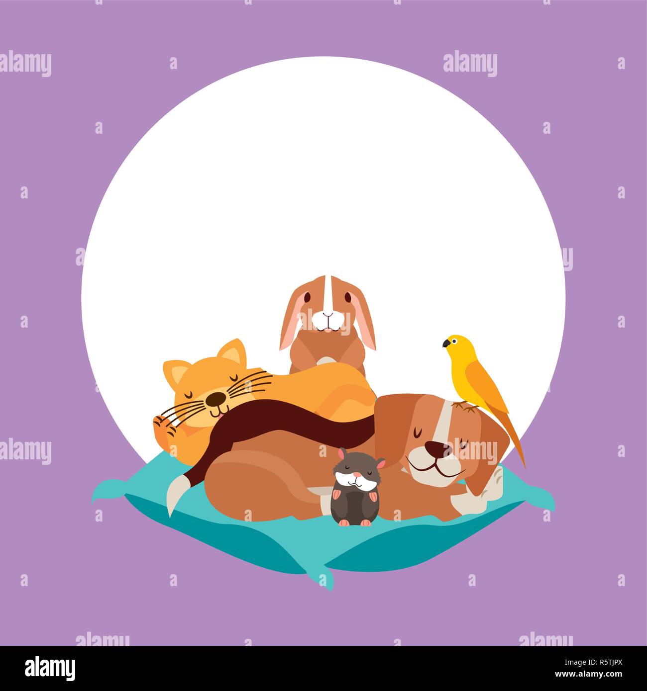 Chien Chat Et Lapin Hamster Oiseau Sur Lit Coussin Vector Illustration Image Vectorielle Stock Alamy Chien Chat Et Lapin Hamster Oiseau Sur Lit Coussin Vector Illustration Image Vectorielle Stock Alamy