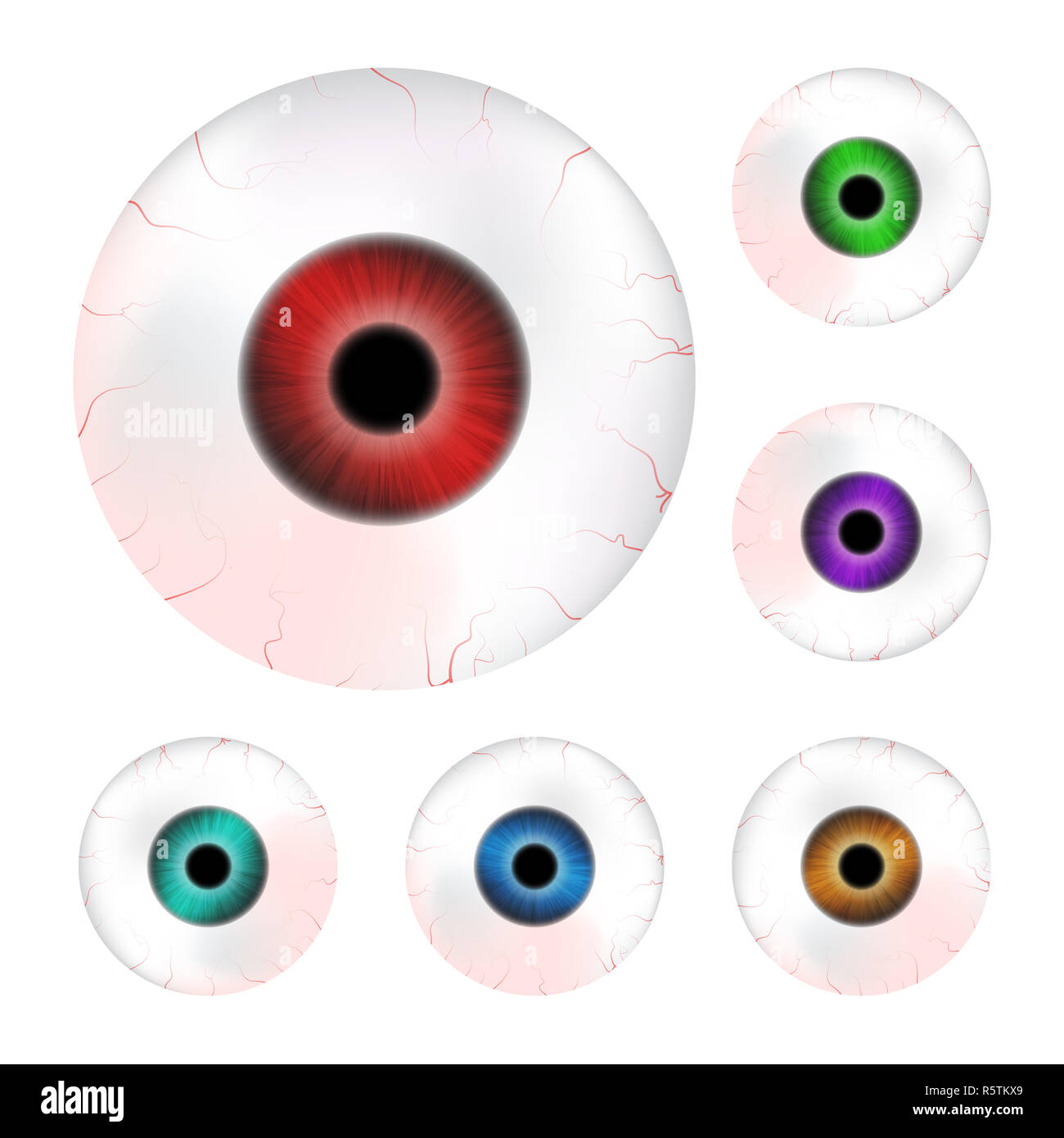 Image de l'œil humain réaliste ball avec des élève, iris. Vector illustration isolé sur fond blanc. Banque D'Images