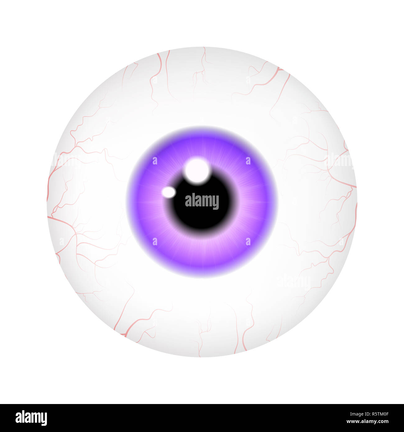 Image de l'œil humain réaliste ball avec des élève, iris. Vector illustration isolé sur fond blanc. Banque D'Images