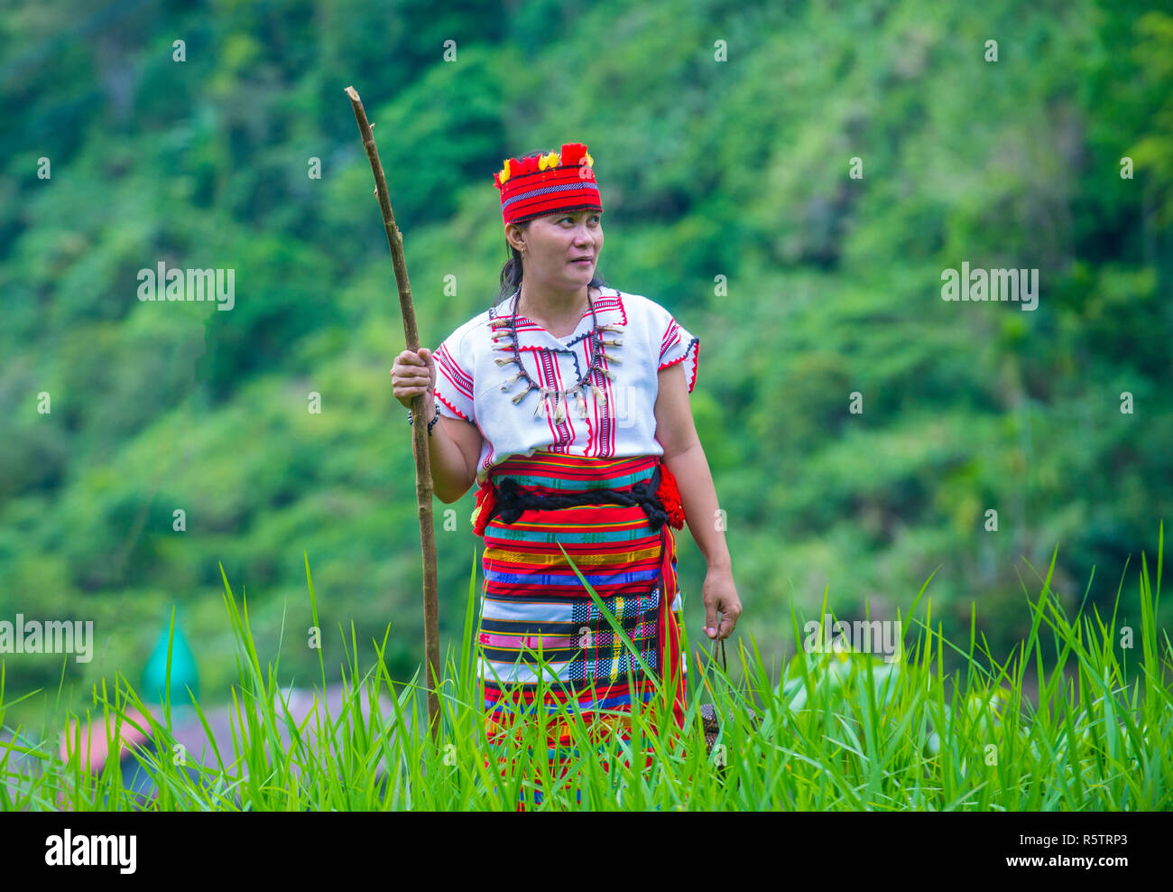 Femme d'Ifugao Minority près d'une terrasse de riz à Banaue aux Philippines Banque D'Images