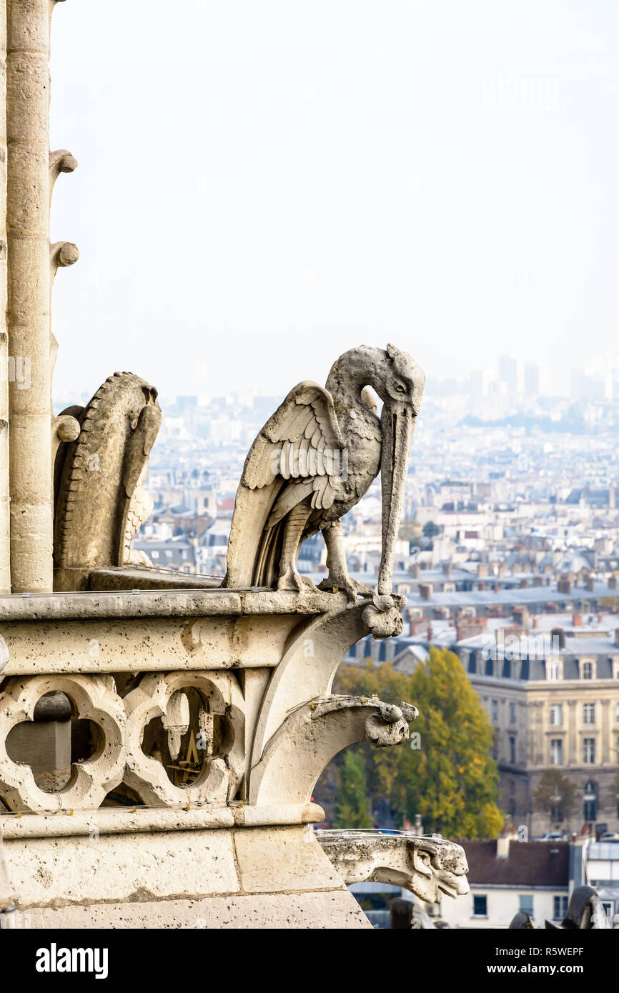 Statue de pierre d'un oiseau chimériques sur les tours galerie de la cathédrale Notre-Dame de Paris avec vue sur la ville de disparaître dans la brume au loin. Banque D'Images