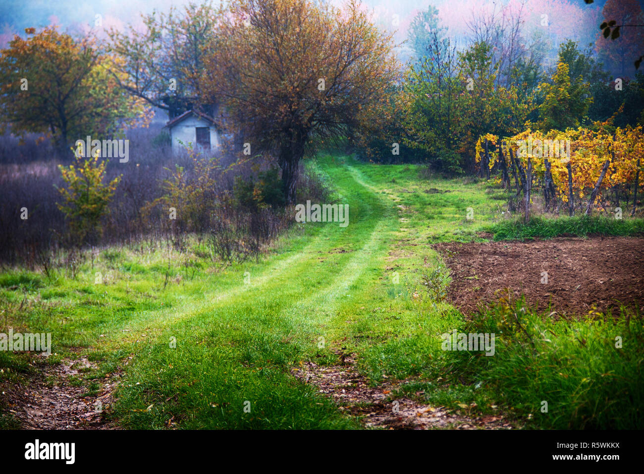 Paysage rural, Tortona Hills, Alessandria, Piémont, Italie Banque D'Images