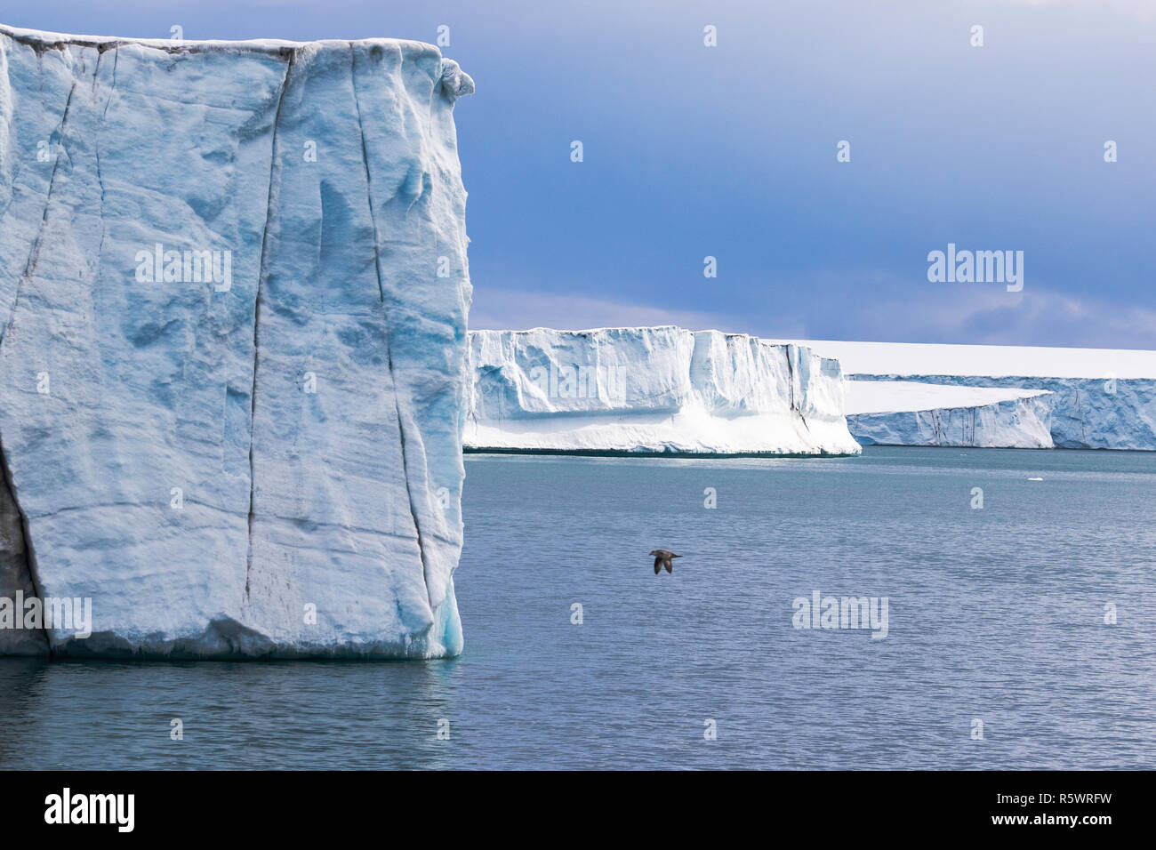 Mer et Glacier, Negribreen, côte est du Spitzberg, une île de l'archipel du Svalbard, Norvège. Banque D'Images