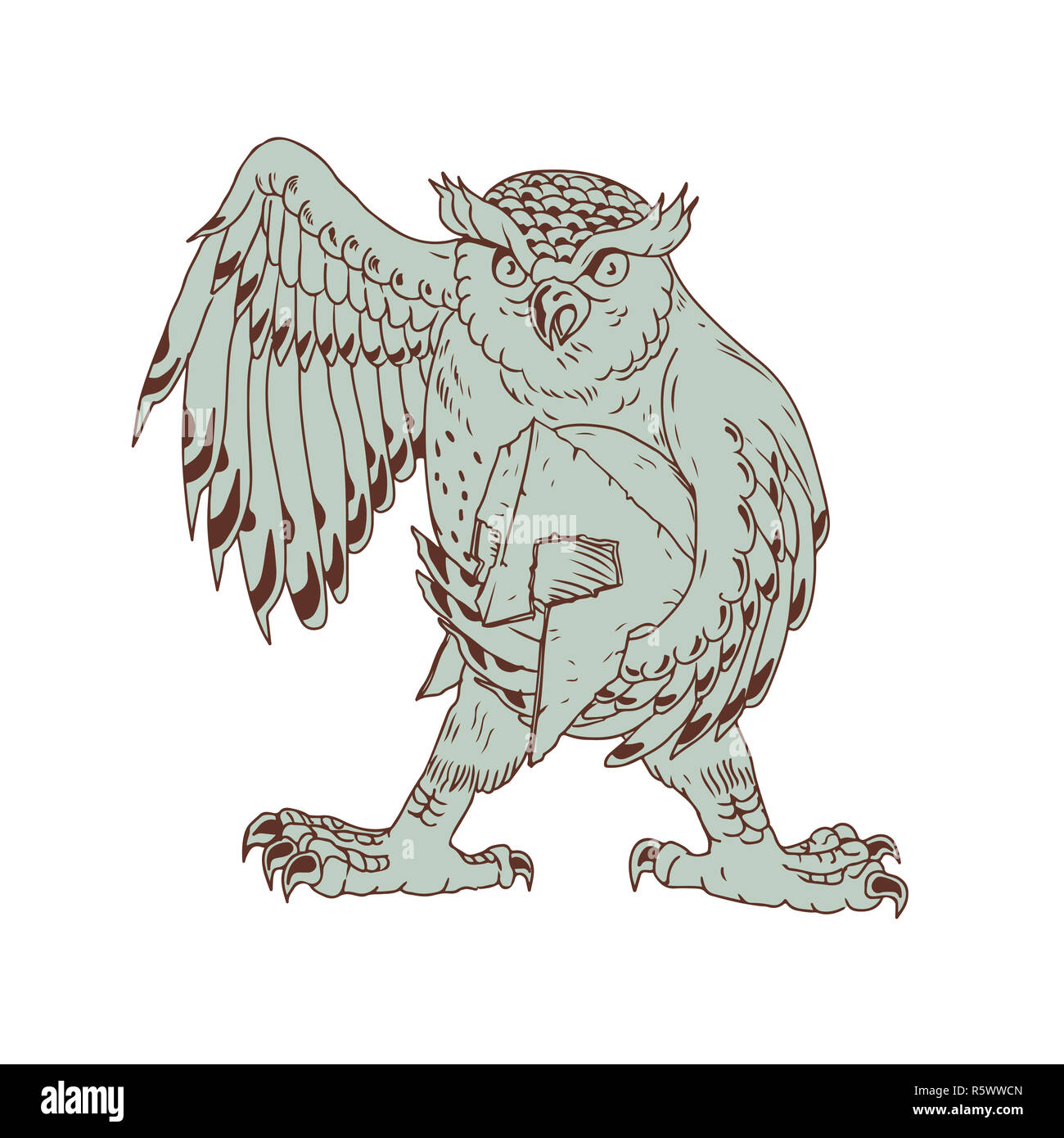 Owl Holding Spartan Casque Dimensions Banque D'Images