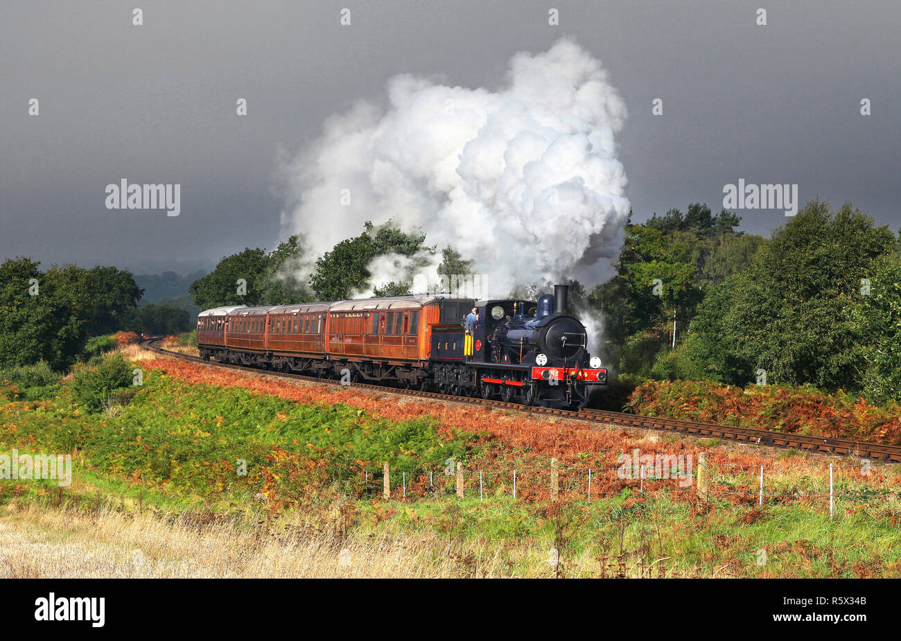 564 chefs passé Foley Park sur la Severn Valley Railway. Banque D'Images