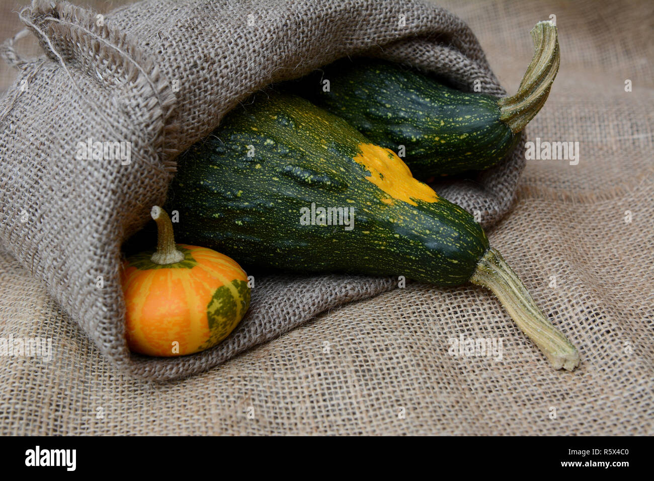 Petite courge orange avec deux grandes courges verruqueuse vert Banque D'Images