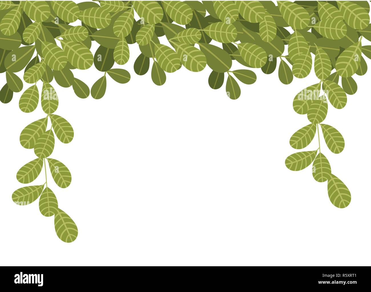 La pendaison de plantes grimpantes avec des feuilles vertes. Feuilles plates pendant vers le bas. Motif floral. Vector illustration sur fond blanc. Illustration de Vecteur