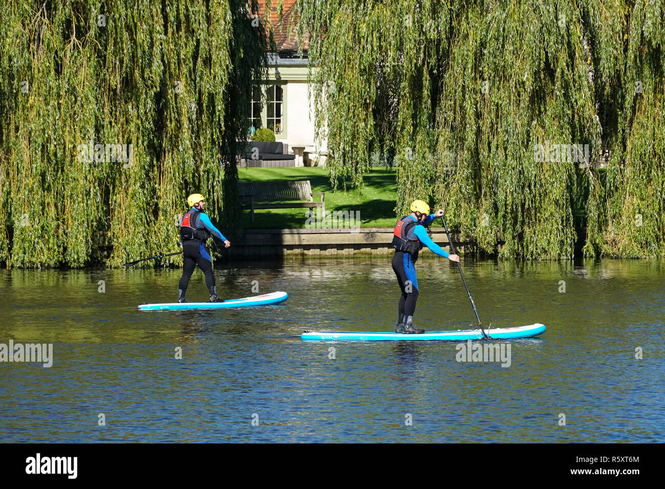Les gens paddleboarding sur la Tamise près de Medmenham, Buckinghamshire, Angleterre Royaume-Uni UK Banque D'Images