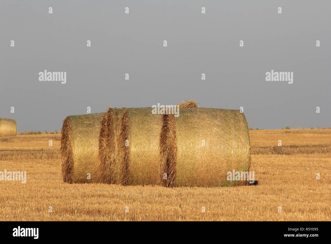 California bottes de paille dans un champ agricole avec ciel bleu. Banque D'Images