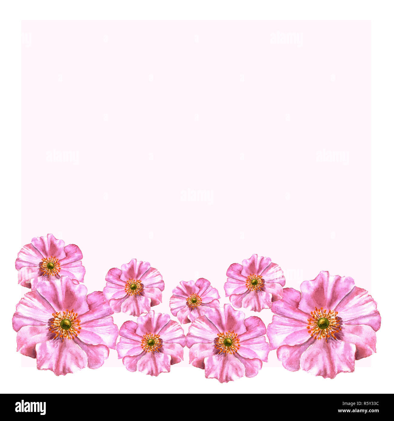 Decores De Fleurs Aquarelle Situe Dans Un Style Vintage Sur Les Anemones Vierge Rose Peut Etre Utilise Pour Carte D Anniversaire Mariage Invitation Affiche Cartes Meres D Photo Stock Alamy