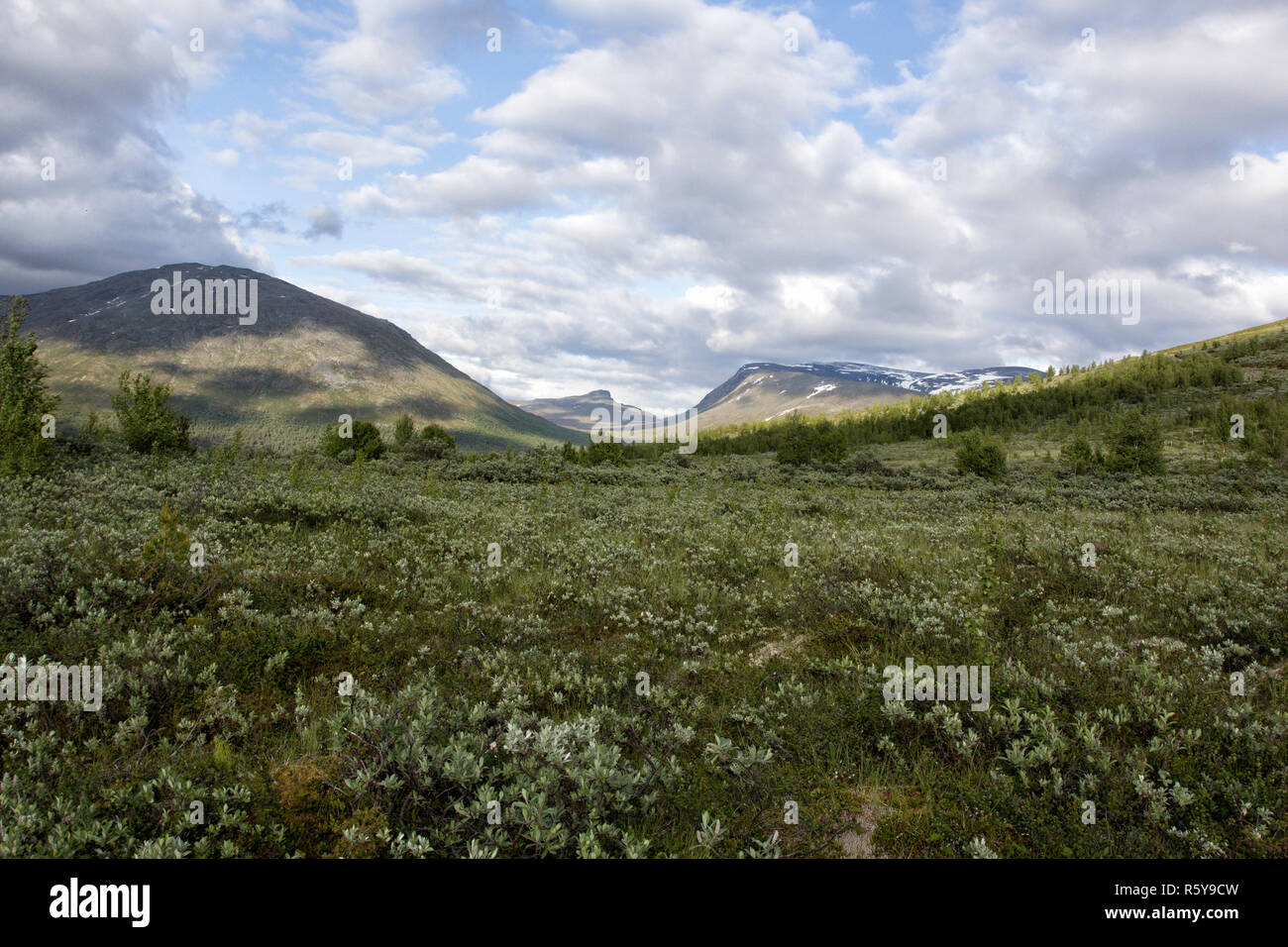 Vue sur le parc national de Jotunheimen en Norvège Banque D'Images