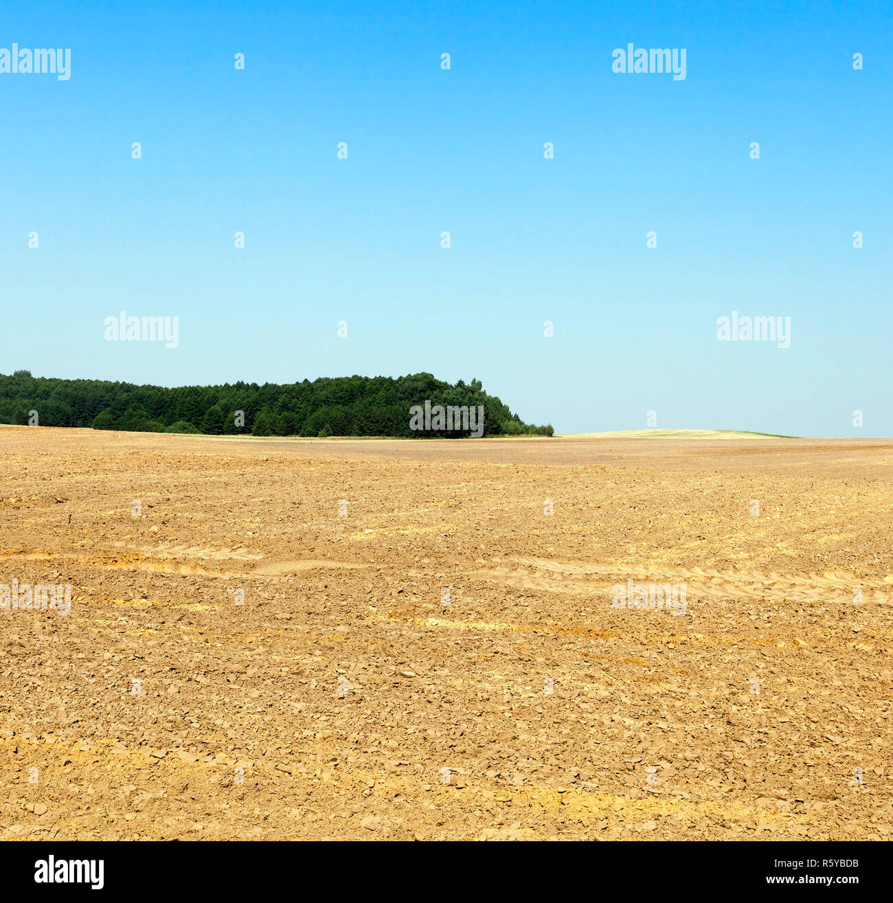 Saison d'hiver. Photo Banque D'Images