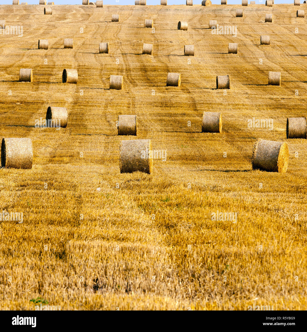 Saison d'hiver. Photo Banque D'Images