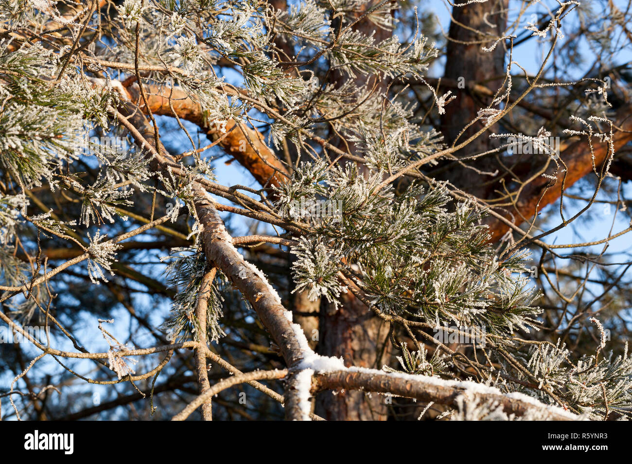 Construction d'une maison Banque D'Images