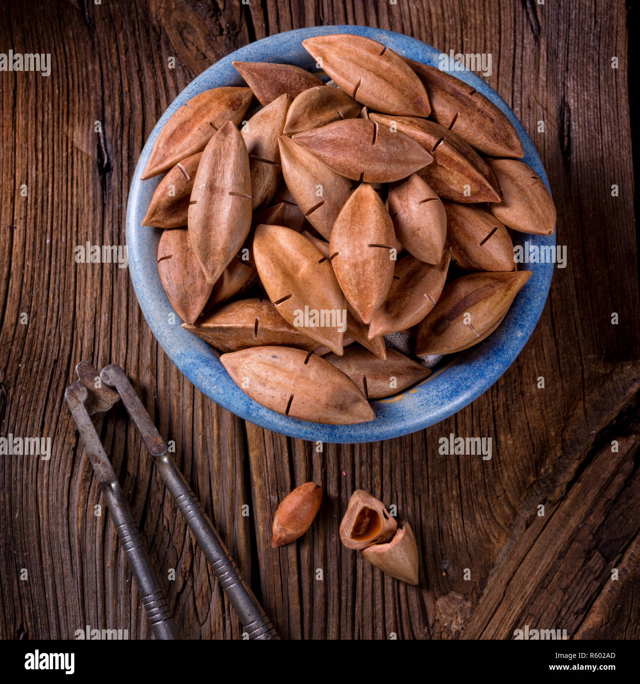 Canarium ovatum,communément appelée pili est une espèce d'arbre tropical Banque D'Images