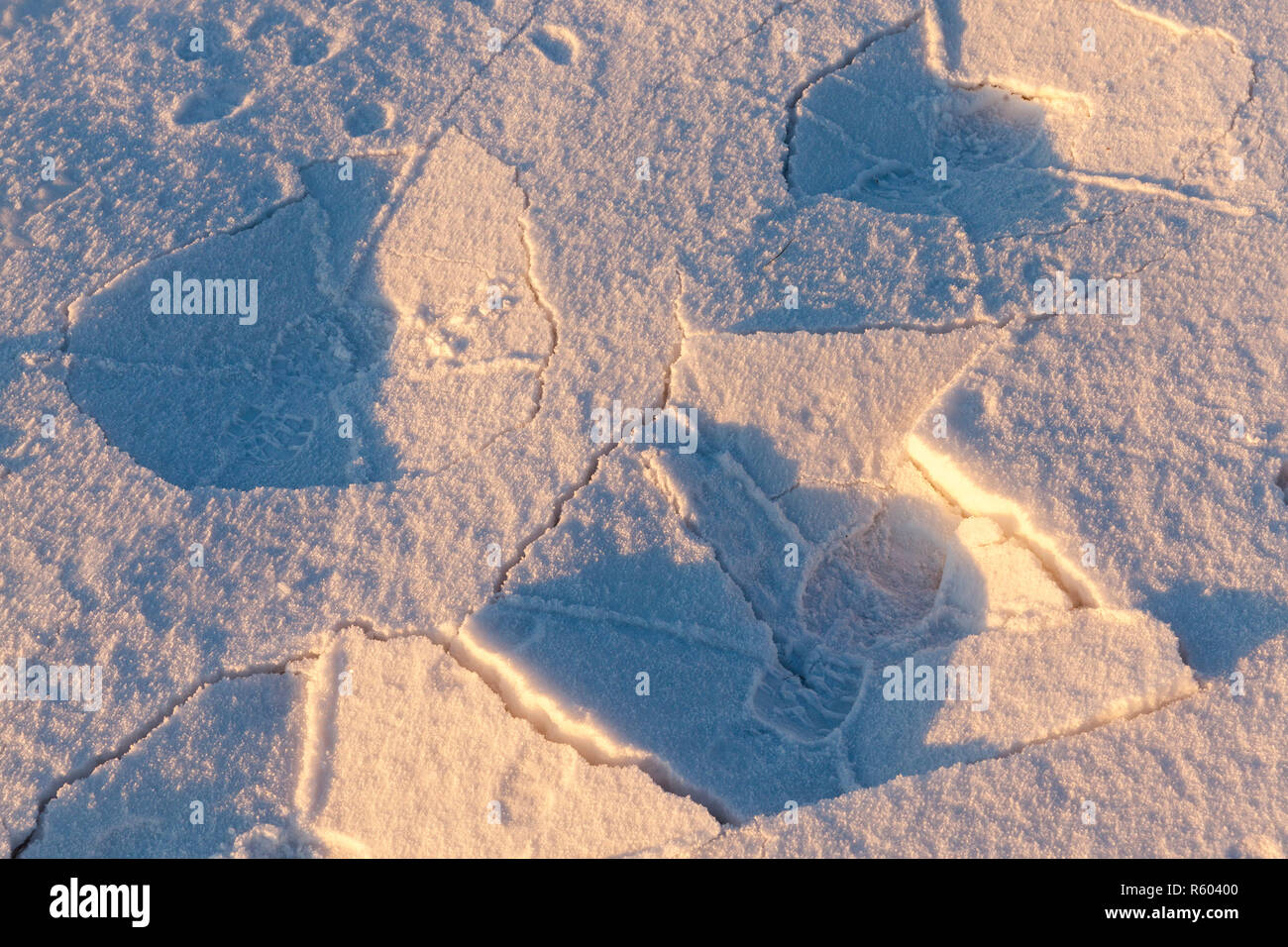 Les amoncellements de neige en hiver Banque D'Images